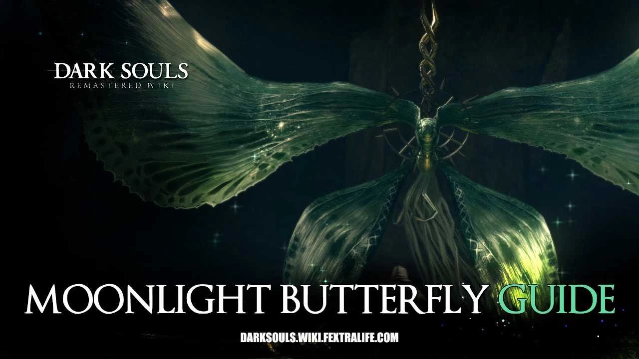 Bướm Ánh Trăng - Moonlight Butterfly