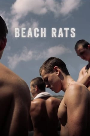 Chuột bãi biển - Beach Rats (2017)