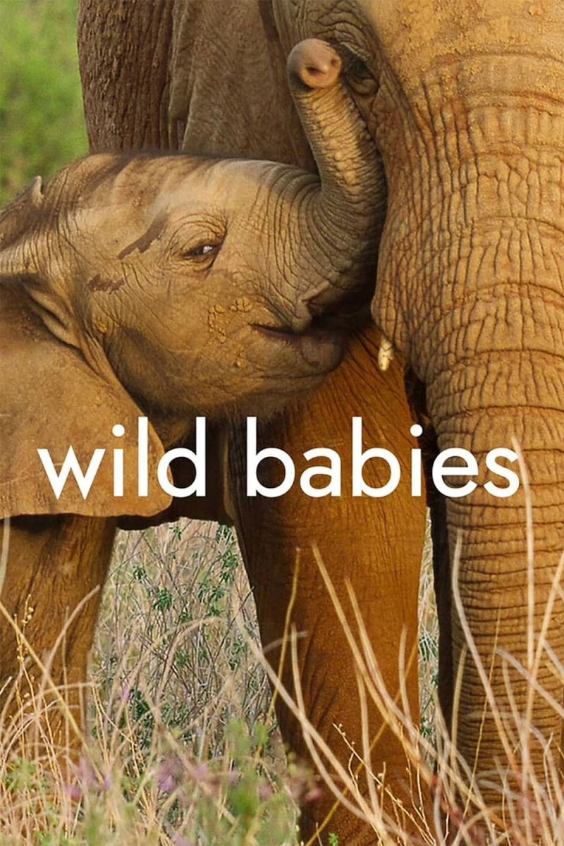 Dã Thú Sơ Sinh (phần 1) - Wild Babies (season 1) (2022)