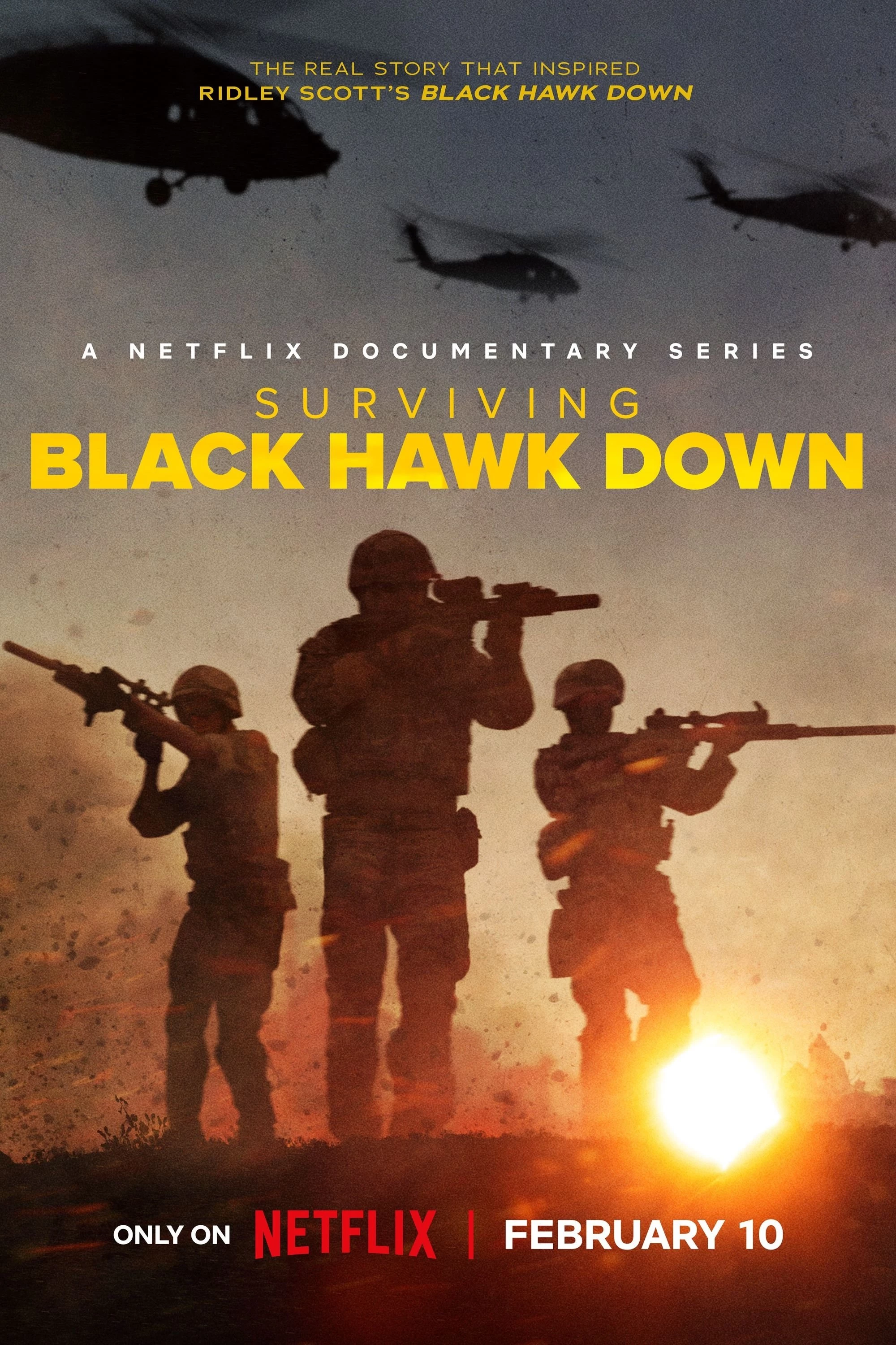 Diều Hâu Gãy Cánh: Sống Sót Sau Trận Chiến - Surviving Black Hawk Down