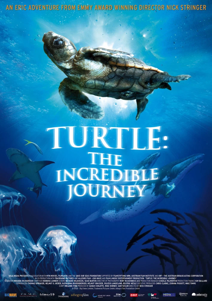 Hành Trình Vĩ Đại Của Loài Rùa - Turtle: The Incredible Journey