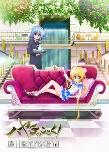 Hayate no Gotoku! Can't Take My Eyes Off You - t Take My Eyes Off You (2012)