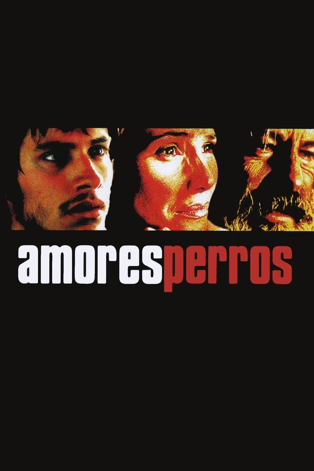 Kẻ Vô Đạo - Amores perros