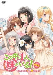 Kono Naka ni Hitori, Imouto ga Iru!: Ani, Imouto, Koibito - Kono Naka ni Hitori, Imouto ga Iru! OVA, Kono Naka ni Hitori, Imouto ga Iru! Episode 13, NakaImo, One of Them is My Younger Sister! OVA, Who is Imouto? OVA, NAKAIMO - My Little Sister Is Among Them! OVA (2013)