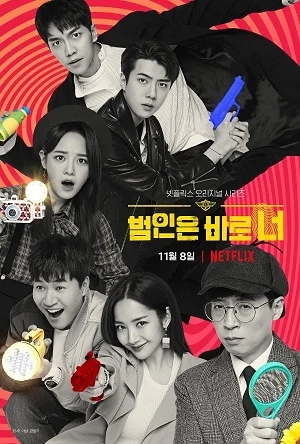 Lật Tẩy (Phần 2) - Busted (Season 2) (2019)