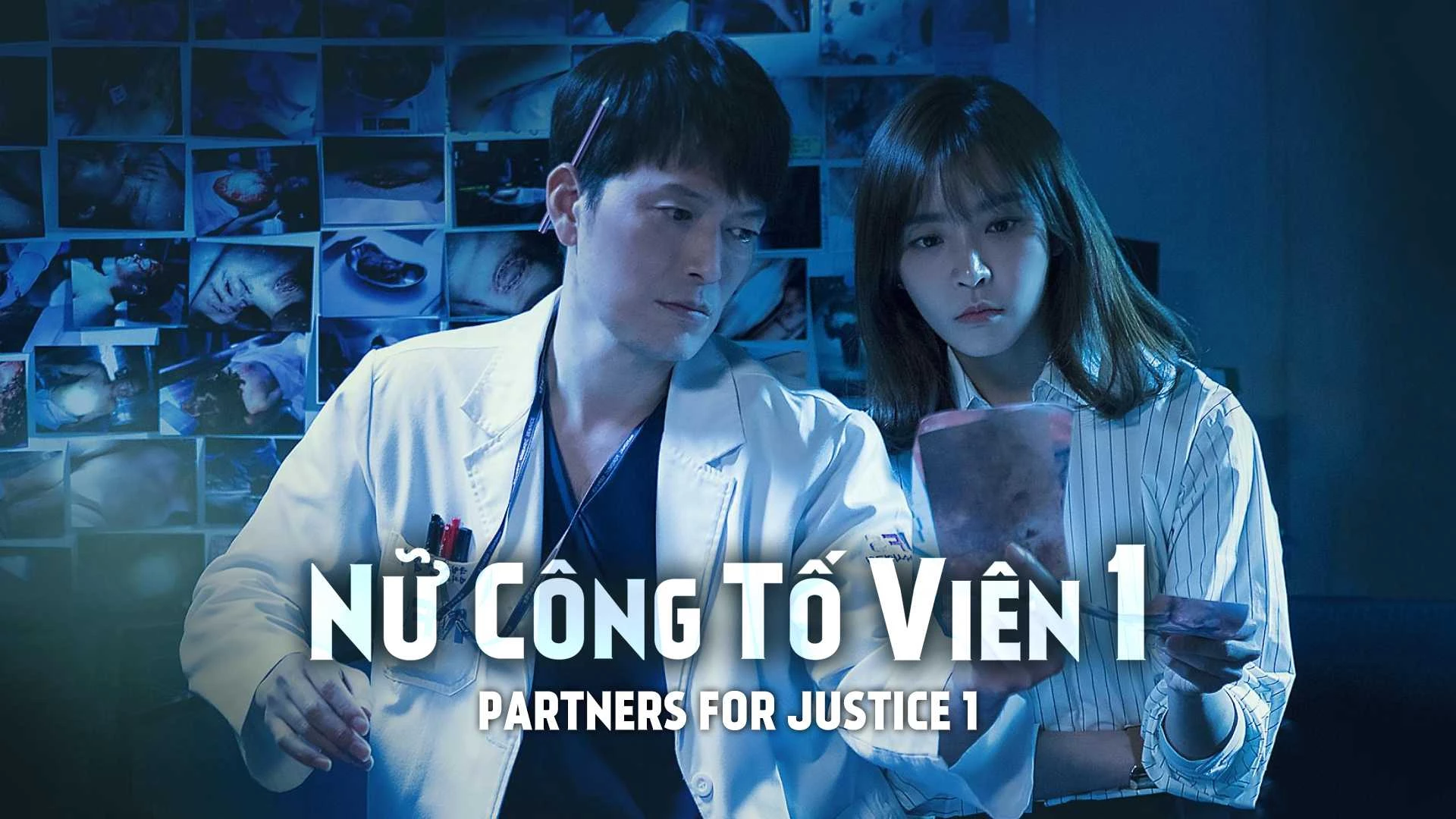 Nữ công tố viên (Phần 1) - Partners for Justice (Season 1)