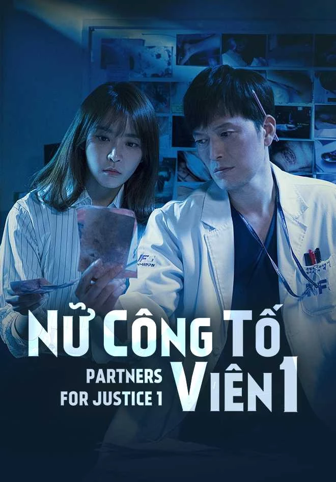 Nữ công tố viên (Phần 1) - Partners for Justice (Season 1)