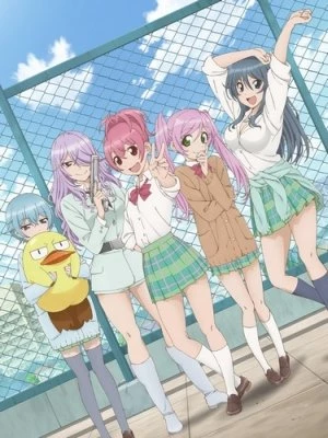 Sabage-bu! Specials - Sabagebu: Soshite Dareka Inakunatta (2014)