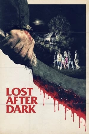 Sau Bức Màn Đêm - Lost After Dark (2014)