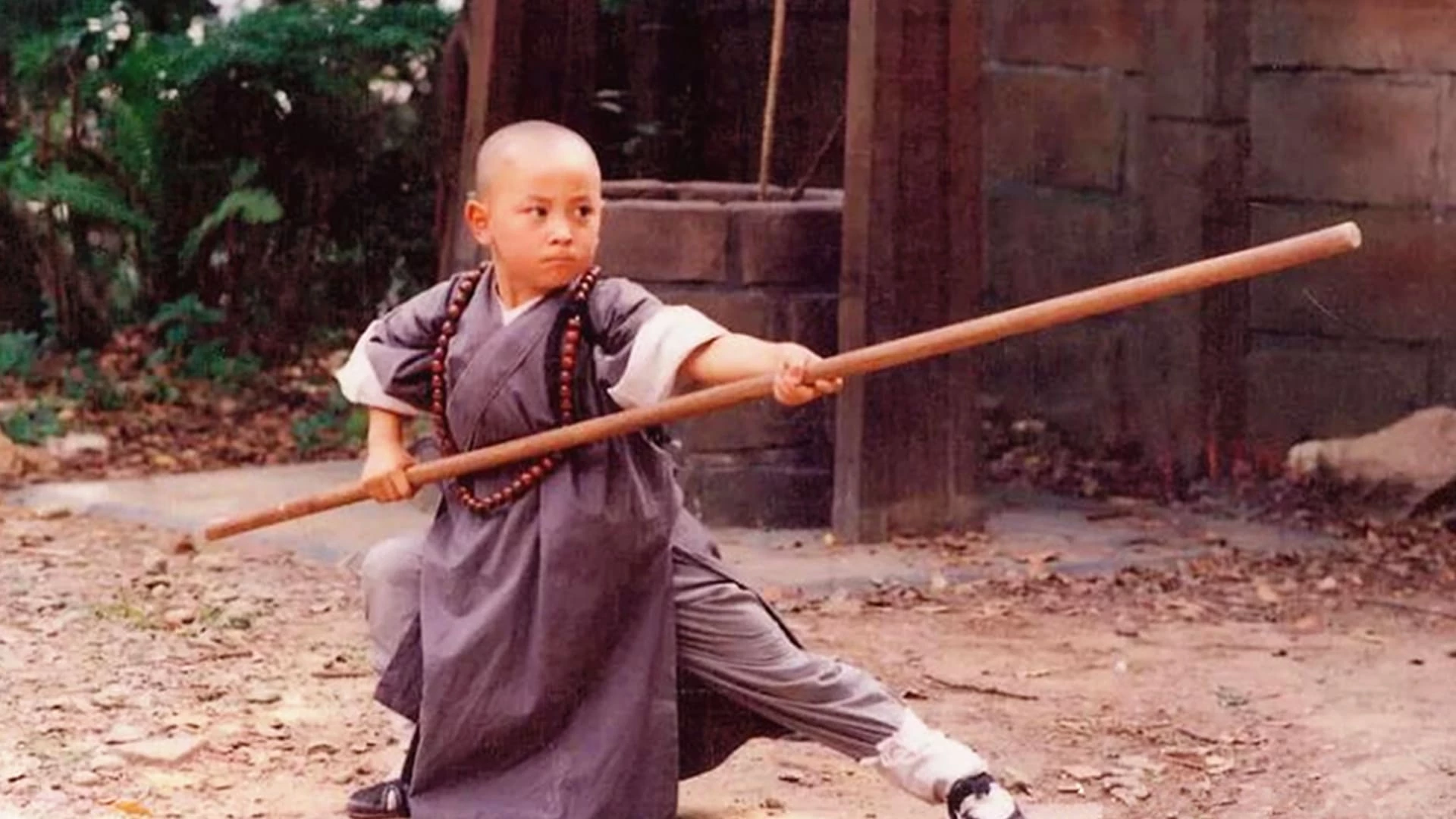 Tân Ô Long Viện - Shaolin Popey