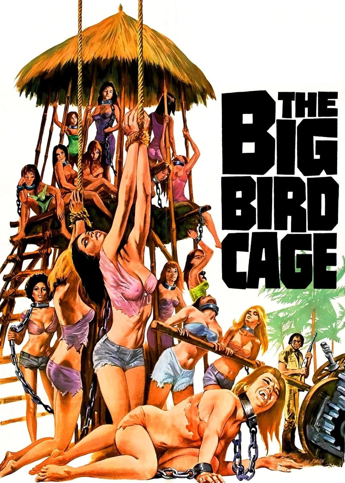 The Big Bird Cage - The Big Bird Cage