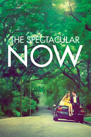 Thực Tại Hoàn Mỹ - The Spectacular Now (2013)