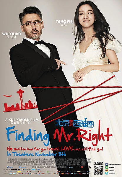 Truy Tìm Người Đàn Ông Hoàn Hảo - Finding Mr.Right