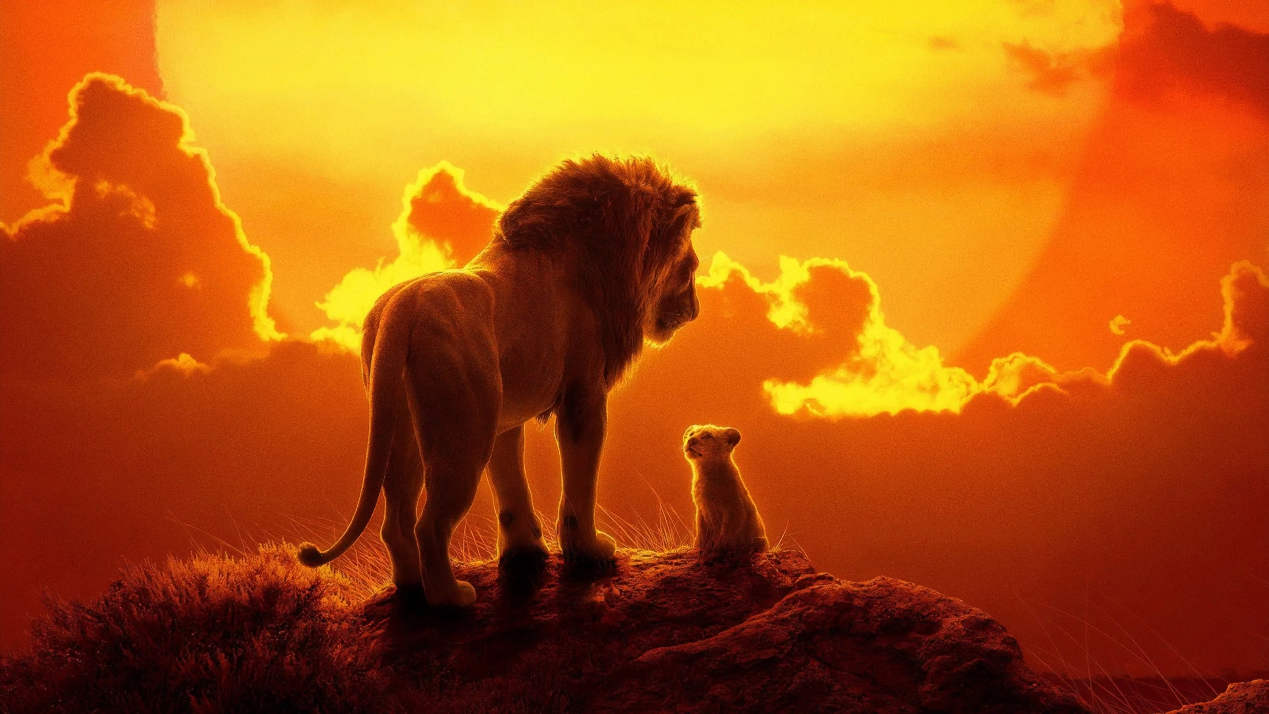 Vua Sư Tử - The Lion King