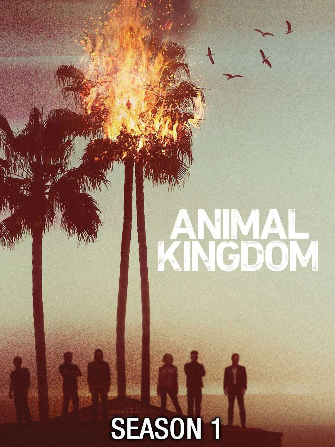 Vương Quốc Tội Phạm (Phần 1) - Animal Kingdom (Season 1) (2016)