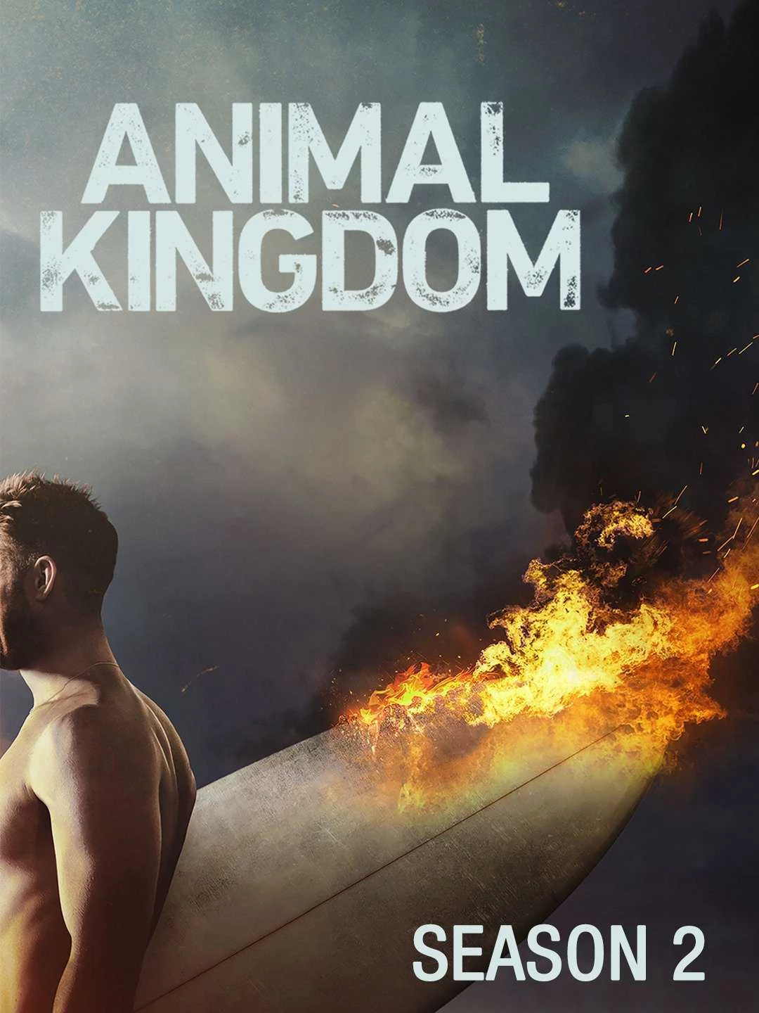 Vương Quốc Tội Phạm (Phần 2) - Animal Kingdom (Season 2) (2017)