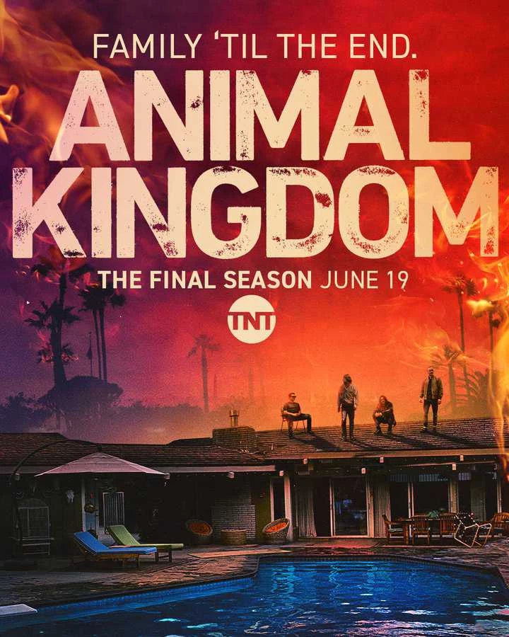 Vương Quốc Tội Phạm (Phần 6) - Animal Kingdom (Season 6) (2022)